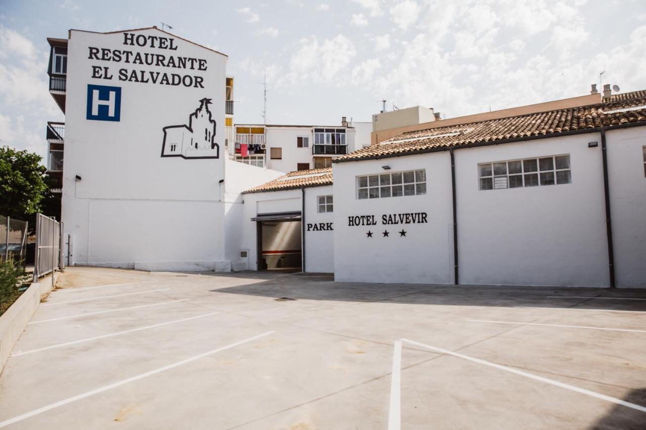 Hotel Salvevir Ejea De Los Caballeros Exteriér fotografie
